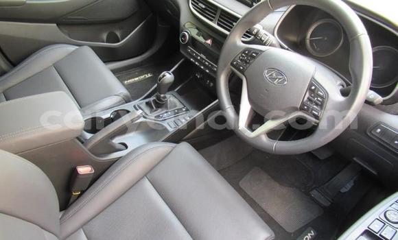 Acheter Occasion Voiture Hyundai Tucson Blanc à Choma, Du sud Acheter Occasion Voiture Hyundai Tucson Blanc à Choma, Du sud