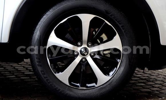 Tenga Tsaru Kia Sorento Zvimwe Mota in Zambezi in North-Western Tenga Tsaru Kia Sorento Zvimwe Mota in Zambezi in North-Western