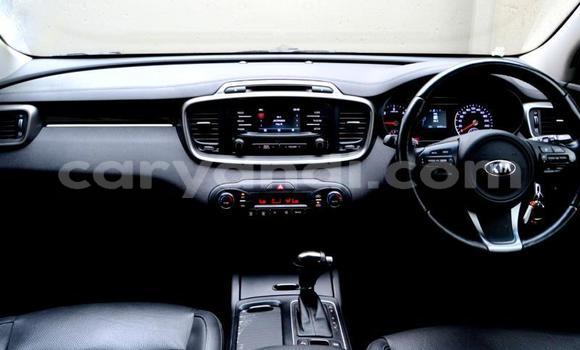 Tenga Tsaru Kia Sorento Zvimwe Mota in Zambezi in North-Western Tenga Tsaru Kia Sorento Zvimwe Mota in Zambezi in North-Western