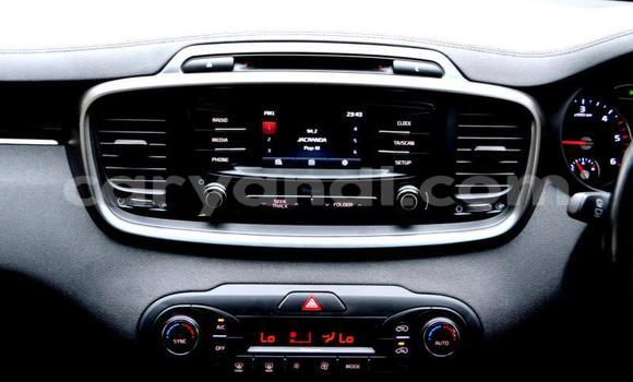 Tenga Tsaru Kia Sorento Zvimwe Mota in Zambezi in North-Western Tenga Tsaru Kia Sorento Zvimwe Mota in Zambezi in North-Western