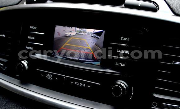 Tenga Tsaru Kia Sorento Zvimwe Mota in Zambezi in North-Western Tenga Tsaru Kia Sorento Zvimwe Mota in Zambezi in North-Western