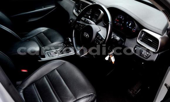 Tenga Tsaru Kia Sorento Zvimwe Mota in Zambezi in North-Western Tenga Tsaru Kia Sorento Zvimwe Mota in Zambezi in North-Western