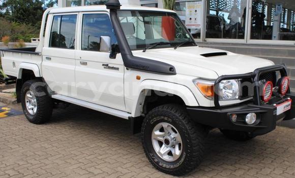 Buy Used Toyota Land Cruiser Other Car in Chipata in Zambia
