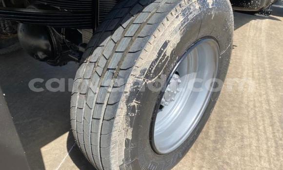 Nunua Ilio tumika Isuzu FTR 850 Nyeupe Lori ndani ya Lusaka nchini Zambia Nunua Ilio tumika Isuzu FTR 850 Nyeupe Lori ndani ya Lusaka nchini Zambia