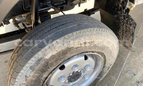 Nunua Ilio tumika Isuzu FTR 850 Nyeupe Lori ndani ya Lusaka nchini Zambia Nunua Ilio tumika Isuzu FTR 850 Nyeupe Lori ndani ya Lusaka nchini Zambia