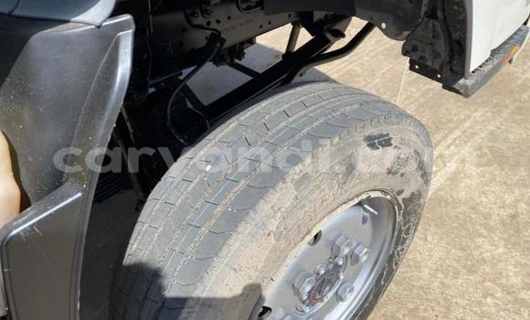 Nunua Ilio tumika Isuzu FTR 850 Nyeupe Lori ndani ya Lusaka nchini Zambia Nunua Ilio tumika Isuzu FTR 850 Nyeupe Lori ndani ya Lusaka nchini Zambia