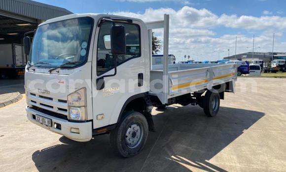 Nunua Ilio tumika Isuzu FTR 850 Nyeupe Lori ndani ya Lusaka nchini Zambia Nunua Ilio tumika Isuzu FTR 850 Nyeupe Lori ndani ya Lusaka nchini Zambia