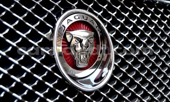 Buy Used Jaguar XF Other Car in Zambezi in North-Western Buy Used Jaguar XF Other Car in Zambezi in North-Western