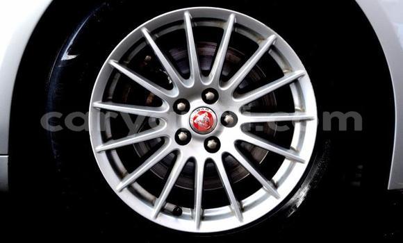 Buy Used Jaguar XF Other Car in Zambezi in North-Western Buy Used Jaguar XF Other Car in Zambezi in North-Western