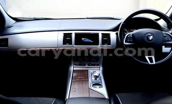 Buy Used Jaguar XF Other Car in Zambezi in North-Western Buy Used Jaguar XF Other Car in Zambezi in North-Western