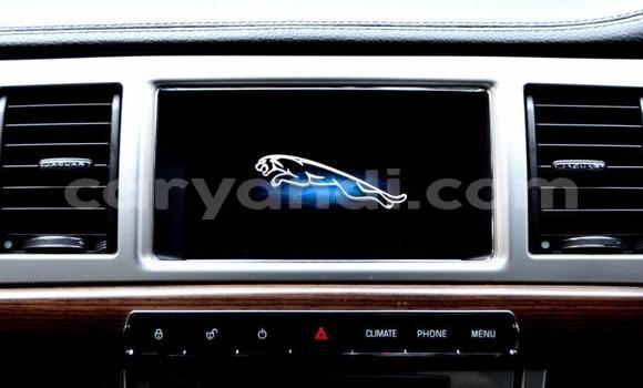 Buy Used Jaguar XF Other Car in Zambezi in North-Western Buy Used Jaguar XF Other Car in Zambezi in North-Western