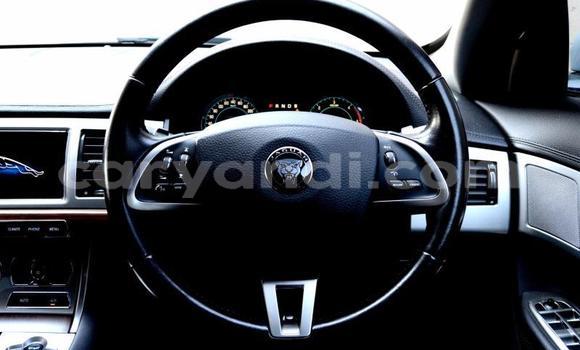 Buy Used Jaguar XF Other Car in Zambezi in North-Western Buy Used Jaguar XF Other Car in Zambezi in North-Western