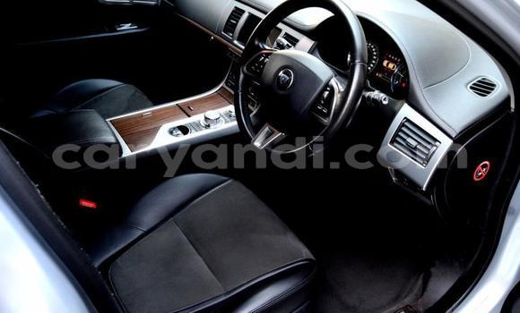 Buy Used Jaguar XF Other Car in Zambezi in North-Western Buy Used Jaguar XF Other Car in Zambezi in North-Western