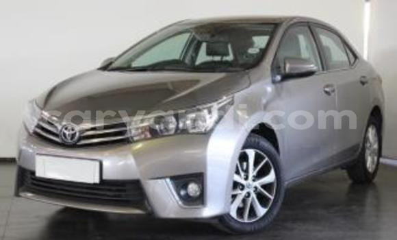 Acheter Occasion Voiture Toyota Corolla Gris à Kitwe, Zambie