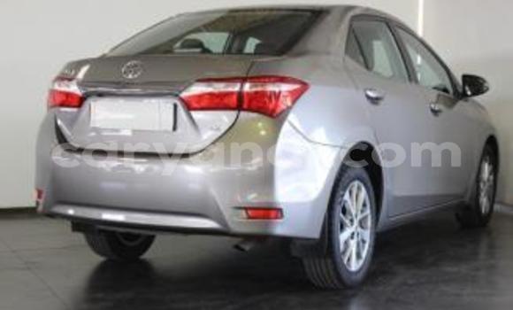 Acheter Occasion Voiture Toyota Corolla Gris à Kitwe, Zambie Acheter Occasion Voiture Toyota Corolla Gris à Kitwe, Zambie
