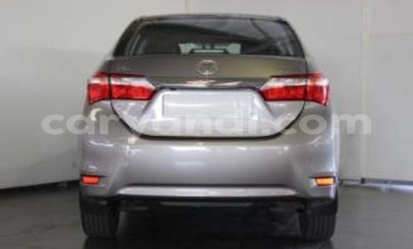 Acheter Occasion Voiture Toyota Corolla Gris à Kitwe, Zambie Acheter Occasion Voiture Toyota Corolla Gris à Kitwe, Zambie