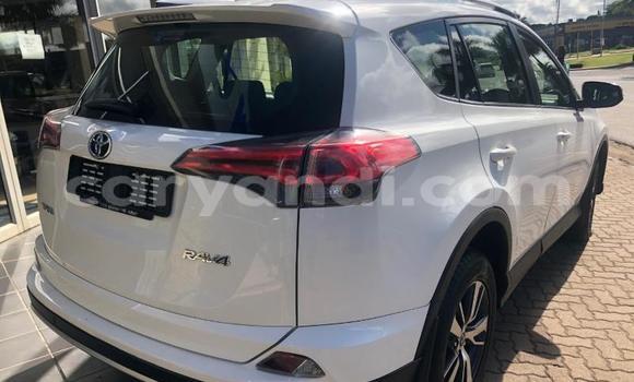 Tenga Tsaru Toyota RAV4 Chena Mota in Kabwe in Zambia Tenga Tsaru Toyota RAV4 Chena Mota in Kabwe in Zambia