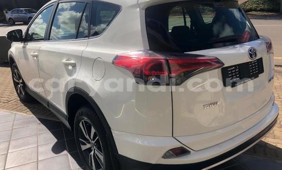 Tenga Tsaru Toyota RAV4 Chena Mota in Kabwe in Zambia Tenga Tsaru Toyota RAV4 Chena Mota in Kabwe in Zambia