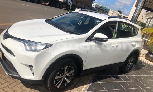 Tenga Tsaru Toyota RAV4 Chena Mota in Kabwe in Zambia Tenga Tsaru Toyota RAV4 Chena Mota in Kabwe in Zambia