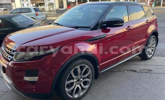 Buy Used Range Rover Evoque Red Car in Chipata in Zambia Buy Used Range Rover Evoque Red Car in Chipata in Zambia