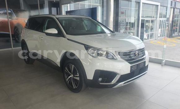Buy Used Peugeot 5008 White Car in Lusaka in Zambia