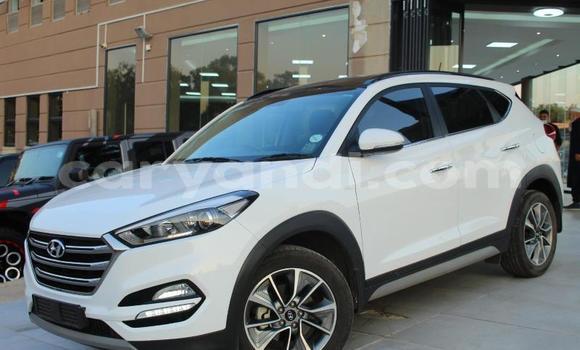 Acheter Occasion Voiture Hyundai Tucson Blanc à Lusaka, Zambie Acheter Occasion Voiture Hyundai Tucson Blanc à Lusaka, Zambie