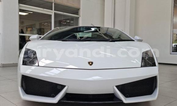 Nunua Ilio tumika Lamborghini Gallardo Nyeupe Gari ndani ya Lusaka nchini Zambia Nunua Ilio tumika Lamborghini Gallardo Nyeupe Gari ndani ya Lusaka nchini Zambia