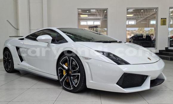 Acheter Occasion Voiture Lamborghini Gallardo Blanc à Lusaka, Zambie Acheter Occasion Voiture Lamborghini Gallardo Blanc à Lusaka, Zambie