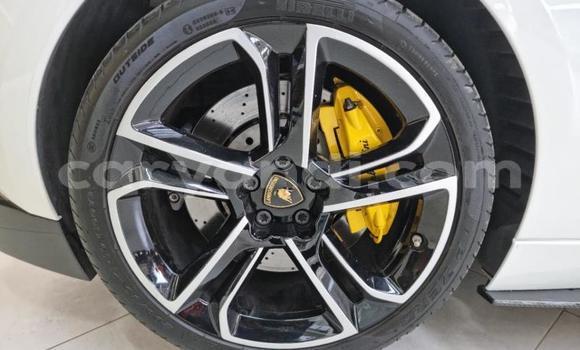 Acheter Occasion Voiture Lamborghini Gallardo Blanc à Lusaka, Zambie Acheter Occasion Voiture Lamborghini Gallardo Blanc à Lusaka, Zambie