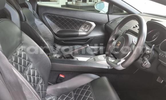 Acheter Occasion Voiture Lamborghini Gallardo Blanc à Lusaka, Zambie Acheter Occasion Voiture Lamborghini Gallardo Blanc à Lusaka, Zambie