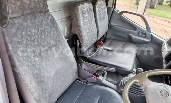 Buy Used Hino 300 Series White Truck in Chipata in Zambia Buy Used Hino 300 Series White Truck in Chipata in Zambia