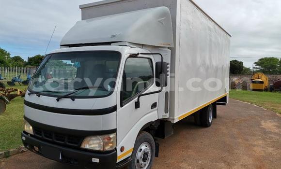 Buy Used Hino 300 Series White Truck in Chipata in Zambia Buy Used Hino 300 Series White Truck in Chipata in Zambia