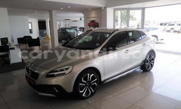 Acheter Occasion Voiture Volvo V40 Cross Country Gris à Lusaka, Zambie