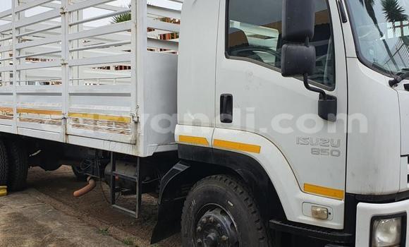 Acheter Occasion Utilitaire Isuzu FTR 850 Blanc à Lusaka, Zambie Acheter Occasion Utilitaire Isuzu FTR 850 Blanc à Lusaka, Zambie