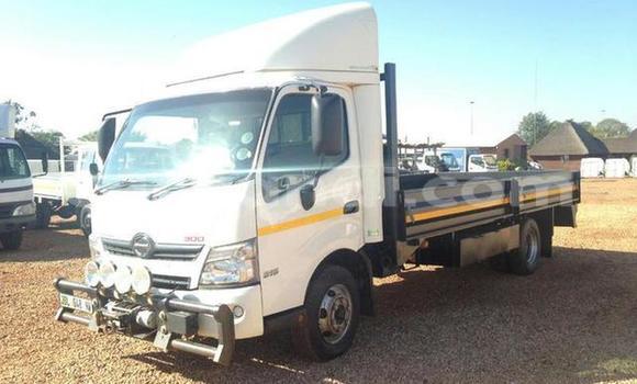 Buy Used Hino 300 Series Other Truck in Chingola in Zambia