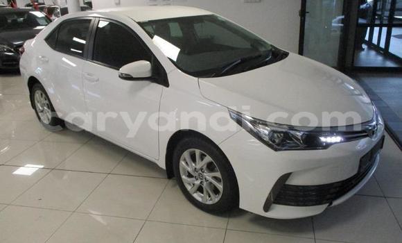 Acheter Occasion Voiture Toyota Corolla Blanc à Chinsali, Nord Acheter Occasion Voiture Toyota Corolla Blanc à Chinsali, Nord