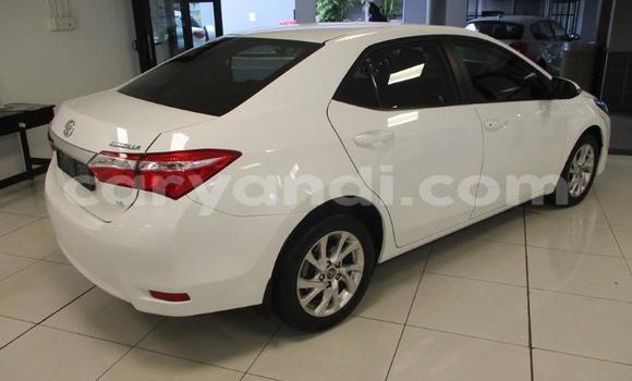 Acheter Occasion Voiture Toyota Corolla Blanc à Chinsali, Nord Acheter Occasion Voiture Toyota Corolla Blanc à Chinsali, Nord