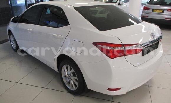 Acheter Occasion Voiture Toyota Corolla Blanc à Chinsali, Nord Acheter Occasion Voiture Toyota Corolla Blanc à Chinsali, Nord