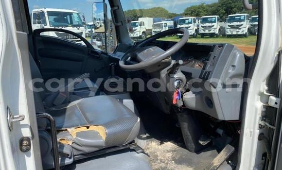 Buy Used Isuzu FTR 850 White Truck in Chinsali in Northern Buy Used Isuzu FTR 850 White Truck in Chinsali in Northern