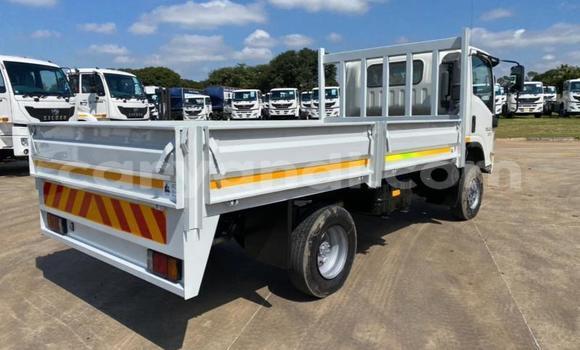 Buy Used Isuzu FTR 850 White Truck in Chinsali in Northern Buy Used Isuzu FTR 850 White Truck in Chinsali in Northern