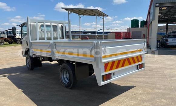 Buy Used Isuzu FTR 850 White Truck in Chinsali in Northern Buy Used Isuzu FTR 850 White Truck in Chinsali in Northern