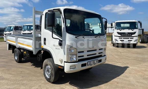 Buy Used Isuzu FTR 850 White Truck in Chinsali in Northern Buy Used Isuzu FTR 850 White Truck in Chinsali in Northern