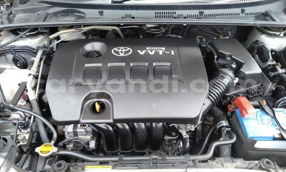 Tenga Tsaru Toyota Corolla Sirivha Mota in Lusaka in Zambia Tenga Tsaru Toyota Corolla Sirivha Mota in Lusaka in Zambia