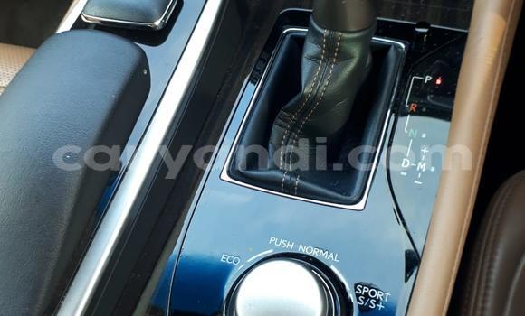 Tenga Tsaru Lexus GS Bhurawuni Mota in Lusaka in Zambia Tenga Tsaru Lexus GS Bhurawuni Mota in Lusaka in Zambia