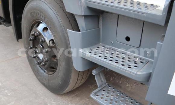 Tenga Tsaru Mercedes–Benz 3331 Chena Rori in Lusaka in Zambia Tenga Tsaru Mercedes–Benz 3331 Chena Rori in Lusaka in Zambia