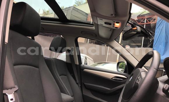 Tenga Tsaru BMW X1 Nhema Mota in Lusaka in Zambia Tenga Tsaru BMW X1 Nhema Mota in Lusaka in Zambia