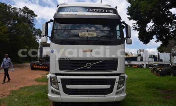 Buy Used Volvo FL White Truck in Livingstone in Zambia
