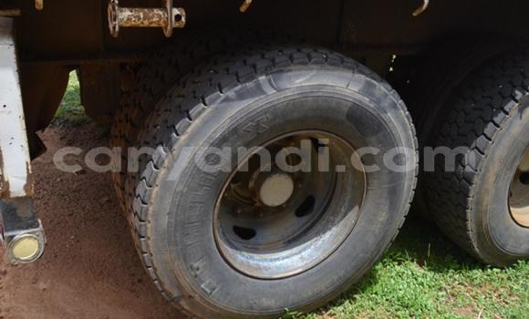 Acheter Occasion Utilitaire Volvo FL Blanc à Livingstone, Zambie Acheter Occasion Utilitaire Volvo FL Blanc à Livingstone, Zambie