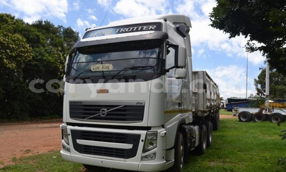 Acheter Occasion Utilitaire Volvo FL Blanc à Livingstone, Zambie Acheter Occasion Utilitaire Volvo FL Blanc à Livingstone, Zambie