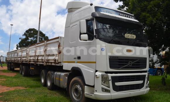 Acheter Occasion Utilitaire Volvo FL Blanc à Livingstone, Zambie Acheter Occasion Utilitaire Volvo FL Blanc à Livingstone, Zambie
